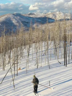 Altai Hiihtourheilu|liukulumikenkä Hok 145 cm + Pivot siteet