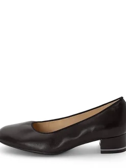 avokkaat Graz highsoft><noscript><img width=
