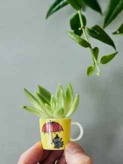Moomin Astiat|Arabia Muumi minimukisetti 6 kpl klassikot