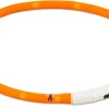 Best Friend Koirat|Gear BF Gear LED valopanta 70cm säädettävä