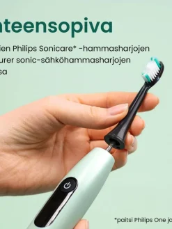 Beurer Hammashoito|vaihtoharja SC Classic Clean Sonic-sähköhammasharjaan