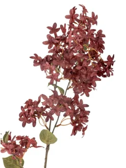 Bloomingville Koriste-Esineet|koristeoksa Myrtle viininpunainen
