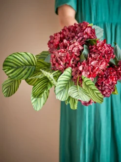 koristeoksa Hydrangea punainen><noscript><img width=