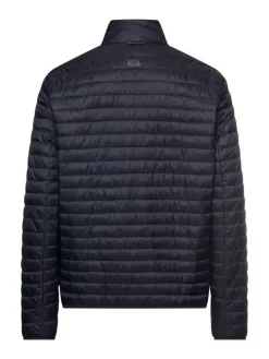 Camel Active Kevättakit|kevyttoppatakki 430590 9N90