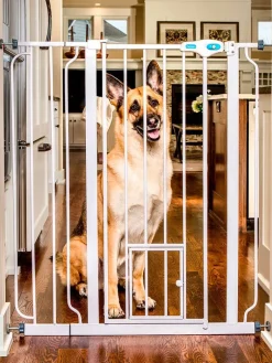 Carlson Pet Products Koirat|korkea Lemmikkiportti valkoinen