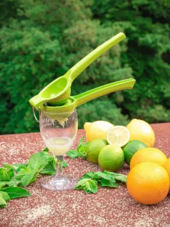 limepuristin Limetta><noscript><img width=