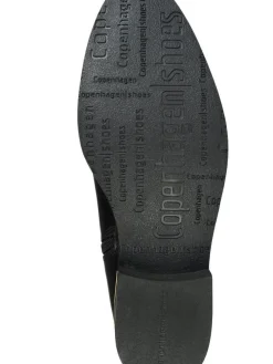 chelseat Ollie Chelsea><noscript><img width=