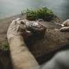 Fiskars Veitset Ja Leikkuulaudat|Norden Paistiveitsi