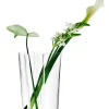 Aalto Maljakko 251 mm kirkas>Iittala Hot