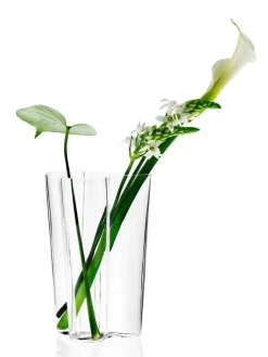 Aalto Maljakko 251 mm kirkas>Iittala Hot