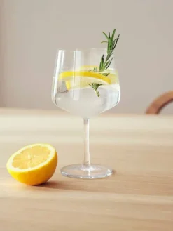 Essence coctaillasi 63 cl 2 kpl>Iittala Best
