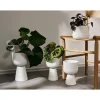 Iittala Maljakot Ja Ruukut|Kastelupullo 2 kpl
