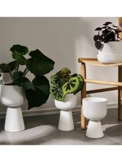 Iittala Maljakot Ja Ruukut|Kastelupullo 2 kpl