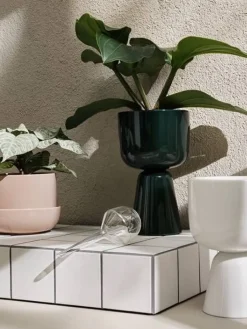 Iittala Maljakot Ja Ruukut|Kastelupullo 2 kpl