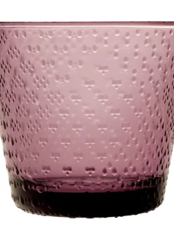 Tundra juomalasi 29 cl kanerva>Iittala New