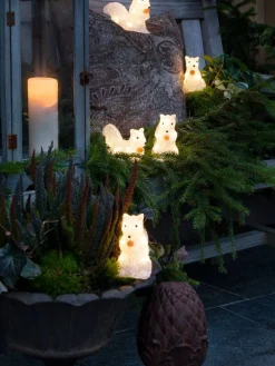 akryylivalosarja Oravat 5 kpl/setti 40 x LED>Konstsmide Online