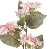hortensia oksa valkoinen>4Living Hot