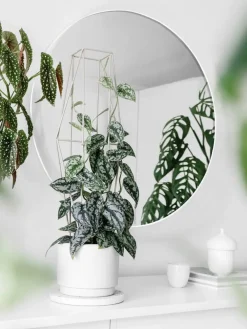 Mirrors and More Kellot Ja Peilit|peili Mila Ø50 cm valkoinen