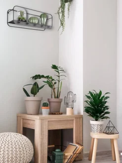 Mirrors and More Hyllyt Ja Telineet|Huonekalut|seinähylly Liandra musta