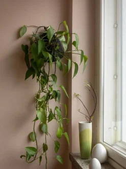muna Studio 8 cm valkoinen><noscript><img width=