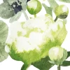 Pentik Kertakäyttö|servietti 33 cm Freesia vihreä