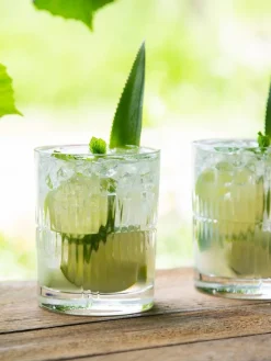 Riedel Astiat|lasisetti Rum 4 kpl