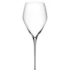 Veloce Champagne Wine Glass samppanjalasi 2 kpl>Riedel