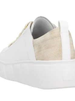tennarit W2602-81><noscript><img width=