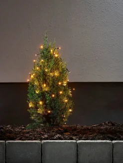 valosarja Golden Warm White 40 LED musta 2,8m>Star Trading Online