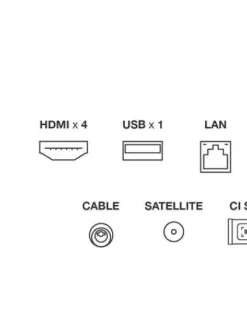 4K QLED-TV 65T8C 65