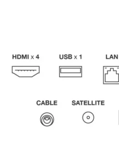 QLED-TV 55T8C 55