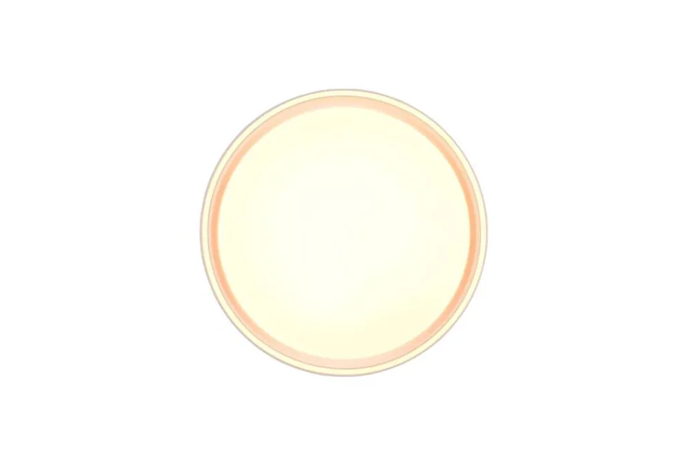 LED kattovalaisin Felis 40 cm mattavalkoinen>Trio Lighting Online