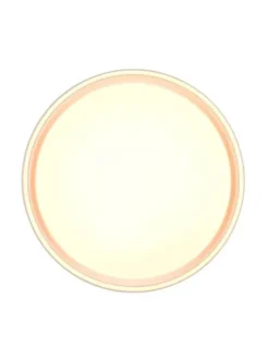 LED kattovalaisin Felis 40 cm mattavalkoinen><noscript><img width=