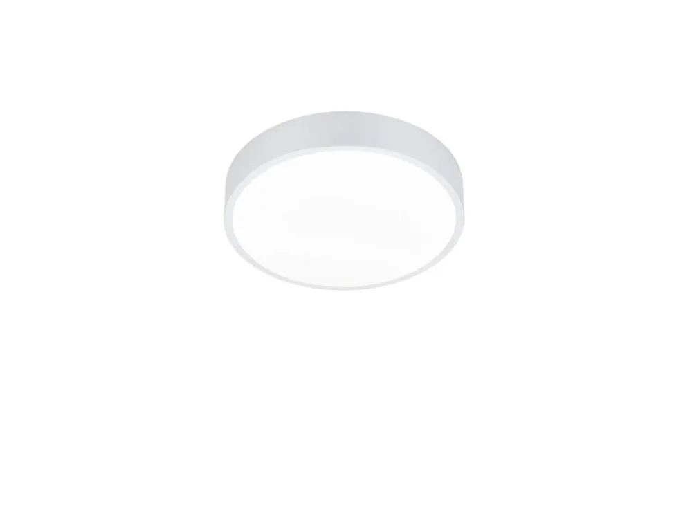 Trio Lighting Sisustusvalaisimet|LED kattovalaisin Waco 30 cm mattavalkoinen