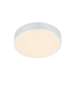 Trio Lighting Sisustusvalaisimet|LED kattovalaisin Waco 30 cm mattavalkoinen