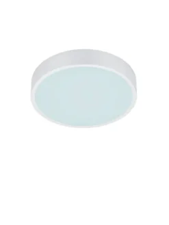 Trio Lighting Sisustusvalaisimet|LED kattovalaisin Waco 30 cm mattavalkoinen