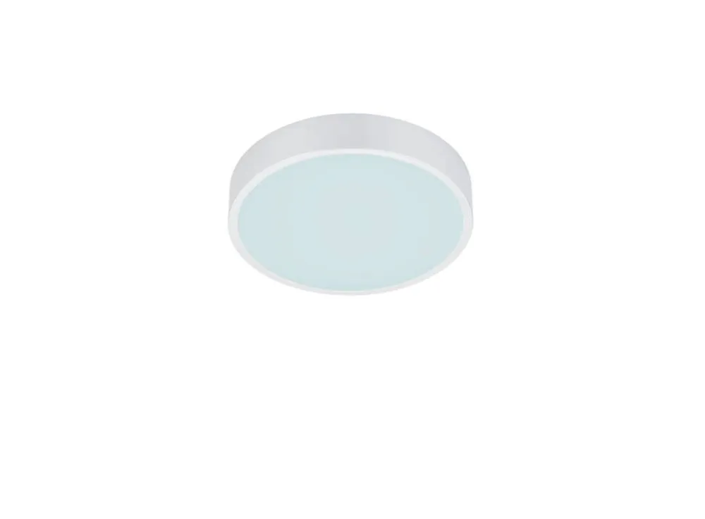 Trio Lighting Sisustusvalaisimet|LED kattovalaisin Waco 30 cm mattavalkoinen