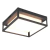 Trio Lighting Ulkovalaisimet|LED kattovalaisin Witham antrasiitti