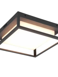 Trio Lighting Ulkovalaisimet|LED kattovalaisin Witham antrasiitti