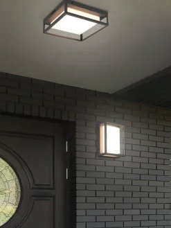 Trio Lighting Ulkovalaisimet|LED kattovalaisin Witham antrasiitti