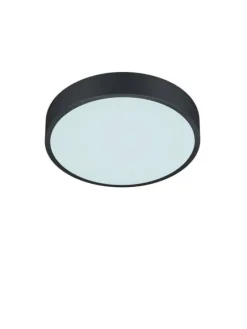 Trio Lighting Sisustusvalaisimet|LED kattovalaisin Waco 30 cm mattamusta
