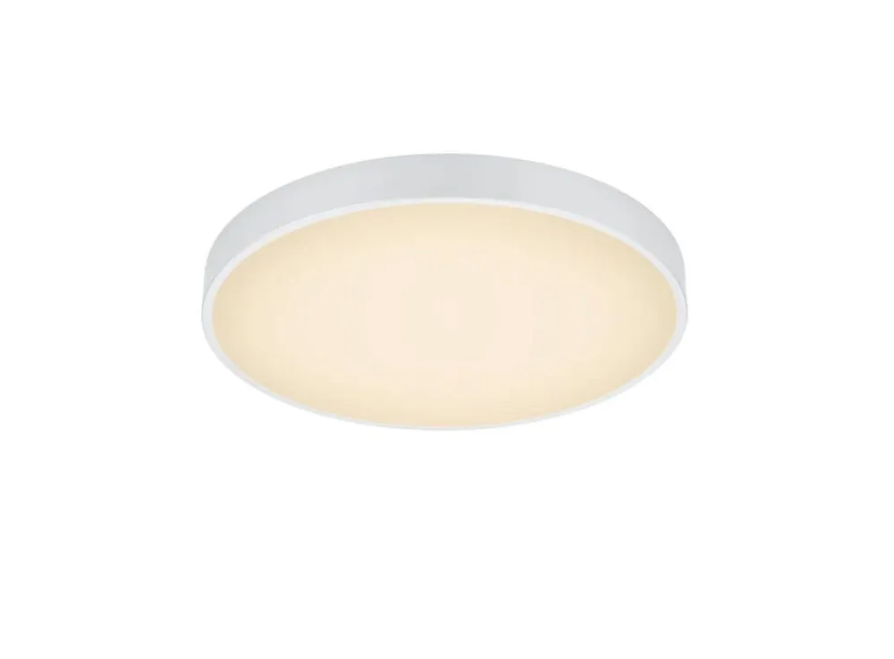 Trio Lighting Sisustusvalaisimet|LED kattovalaisin Waco 49 cm mattavalkoinen
