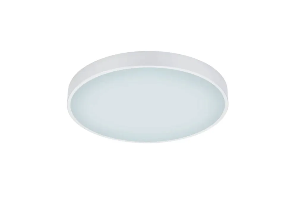 Trio Lighting Sisustusvalaisimet|LED kattovalaisin Waco 49 cm mattavalkoinen