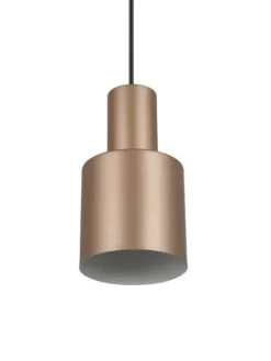Trio Lighting Sisustusvalaisimet|riippuvalaisin Agudo 1-os E27 kahvinruskea