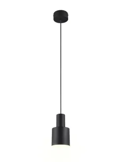 riippuvalaisin Agudo 1-os E27 mattamusta>Trio Lighting Online