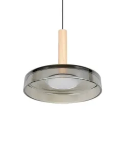 Trio Lighting Sisustusvalaisimet|riippuvalaisin Celeste LED 1-os mattamusta/kro