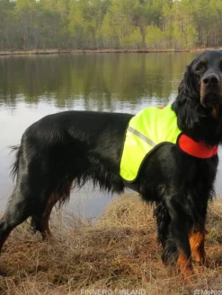 Finnero Koirat|UKKO Signal Vest Metsästysliivi, punainen/keltainen, M