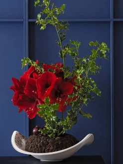 Amazonia Kulho 47x38cm>Villeroy&Boch New
