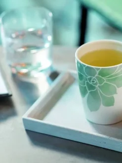 Villeroy&Boch Astiat|To Go muki Coffee 0,29l socculente