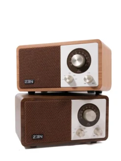 radio R10 Bluetooth><noscript><img width=